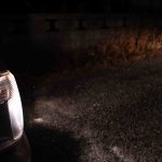 初雪　　240113 (1 - 1)